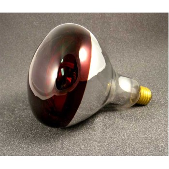 HL1046 | 240V Replacement Bulb for HL1040 Infrared Heat Lamp