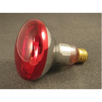 HL2046 | 240V Replacement Bulb for the HL2040 Infrared Heat Lamp with Flip-Up Base HL2046 | 240V Replacement Bulb for the HL2040 Infrared Heat Lamp with Flip-Up Base